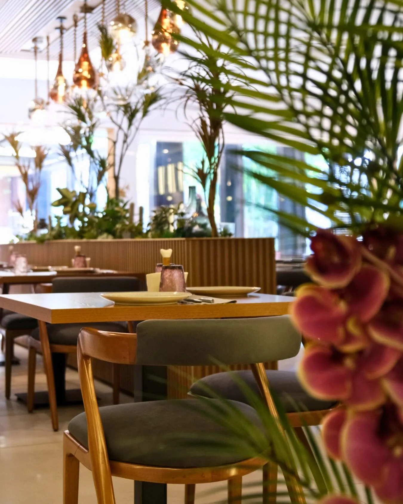 Copa d’elio - Photo 1