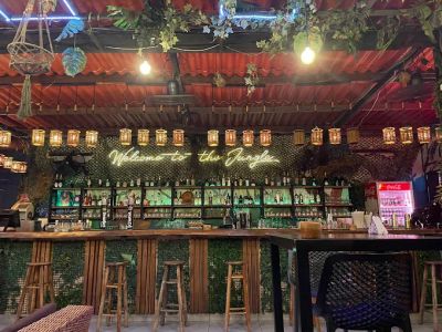 THE JUNGLE - Photo 2