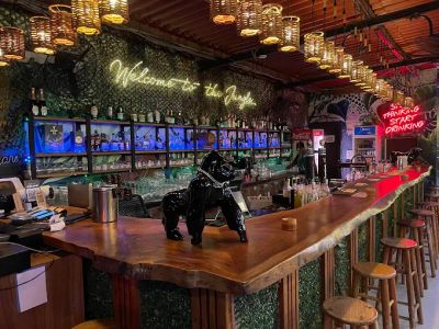 THE JUNGLE - Photo 1