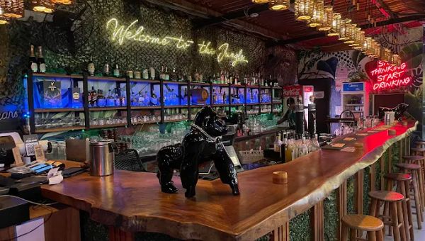 THE JUNGLE